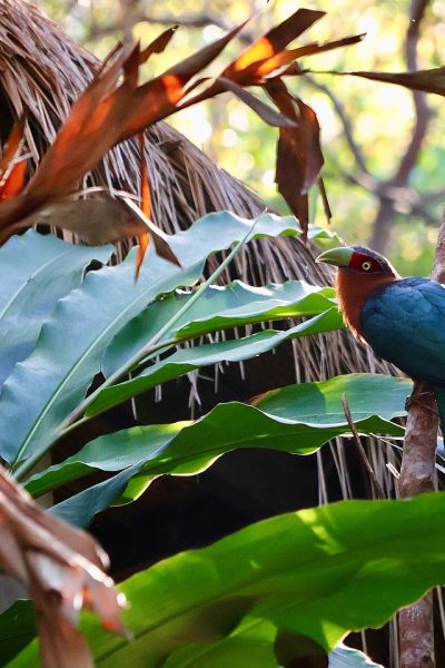 482366603_18492007552028342_7288384595494794607_n