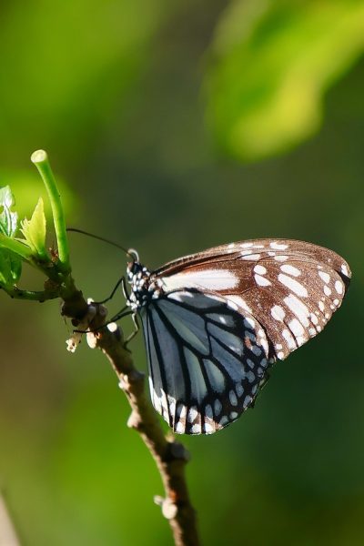 482371142_18492007555028342_6459194334954308007_n